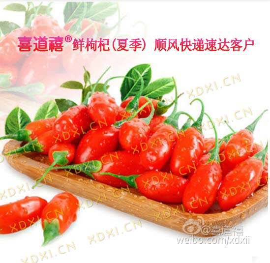  【寧夏枸杞樹(shù)生長(zhǎng)周期】